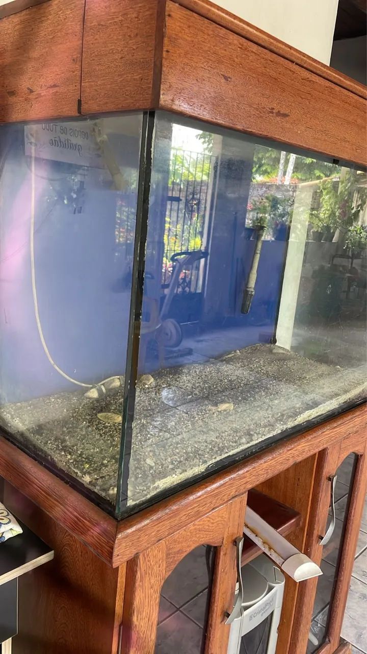 Aquário 64319324448771121