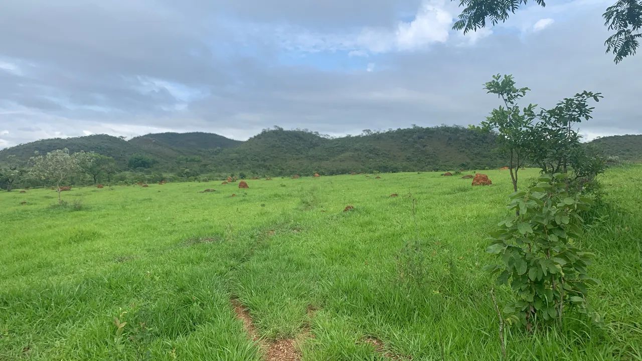 Foto - Brasília - Samambaia Sul (Samambaia)