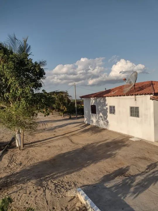 Chácara a venda no sítio brejinho em são João-pe ótima localização sítio top. - Foto 4