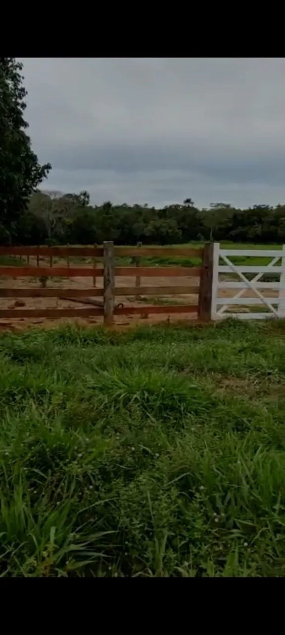 Fazenda de 60 alqueires em Porto Nacional.