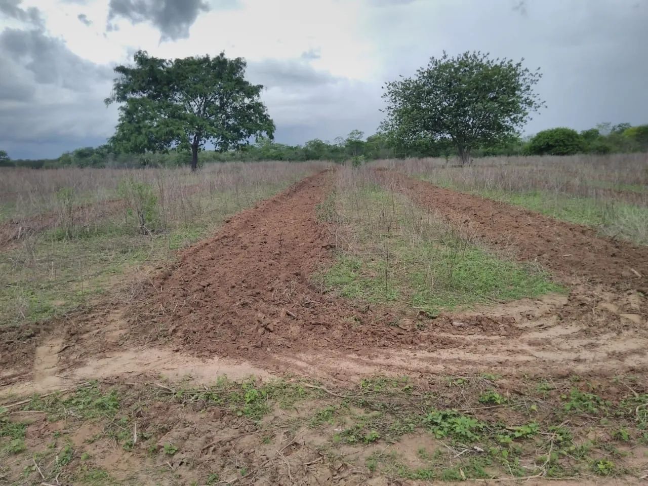 Terreno  - Foto 3