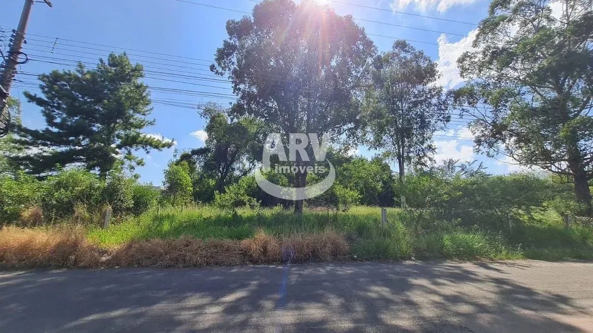 Terreno Comercial - City - Cachoerinha - RS - Foto 4