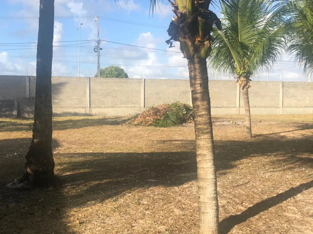 Área comercial na Zona norte de Natal com EXCLUSIVIDADE - Foto 4