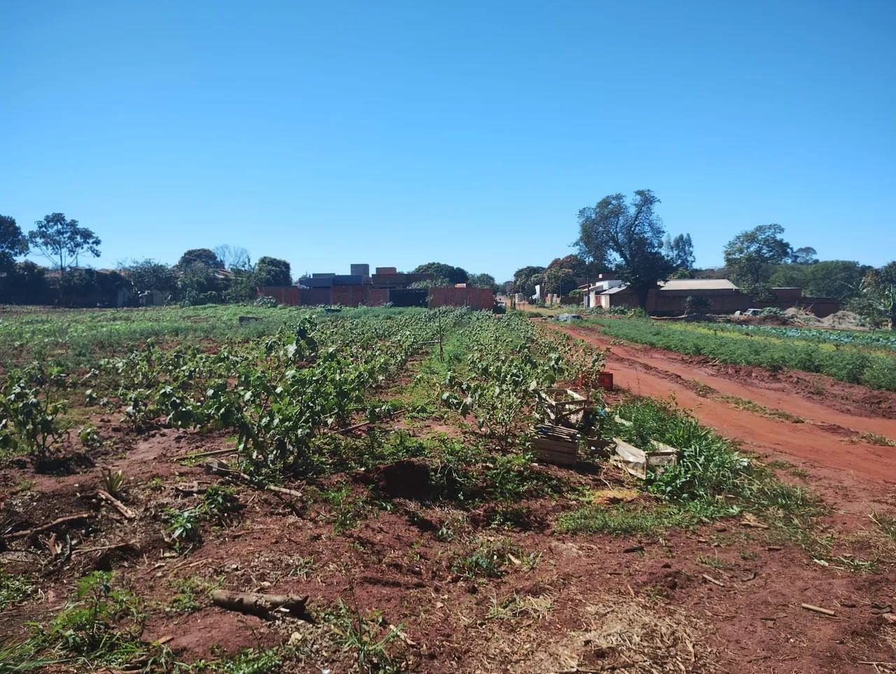 ÁREA 8.800 M2 OCASIÃO 