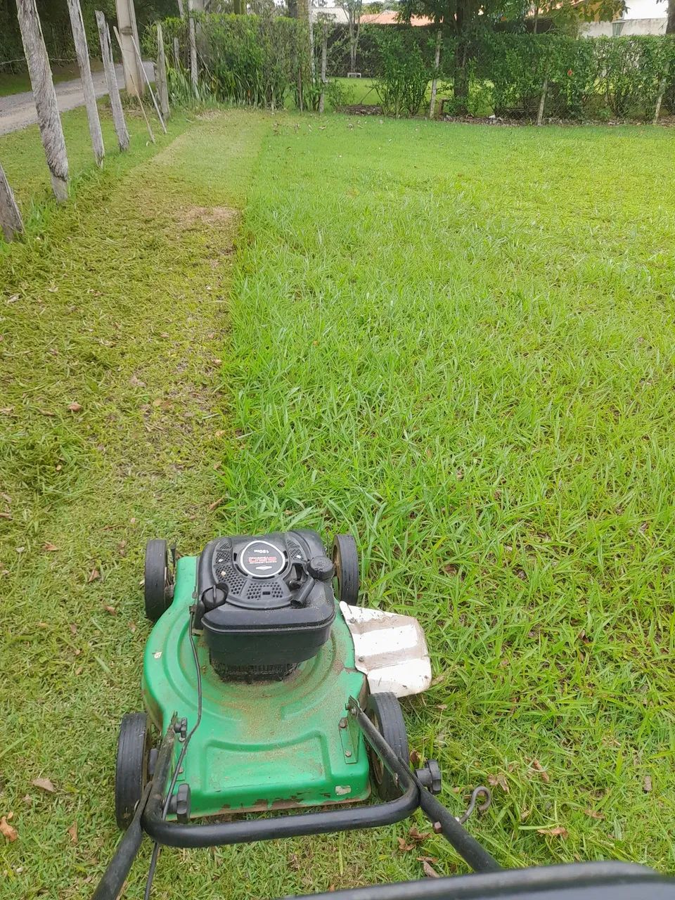 Jardinagem/Poda/Limpeza de Terreno - Foto 5
