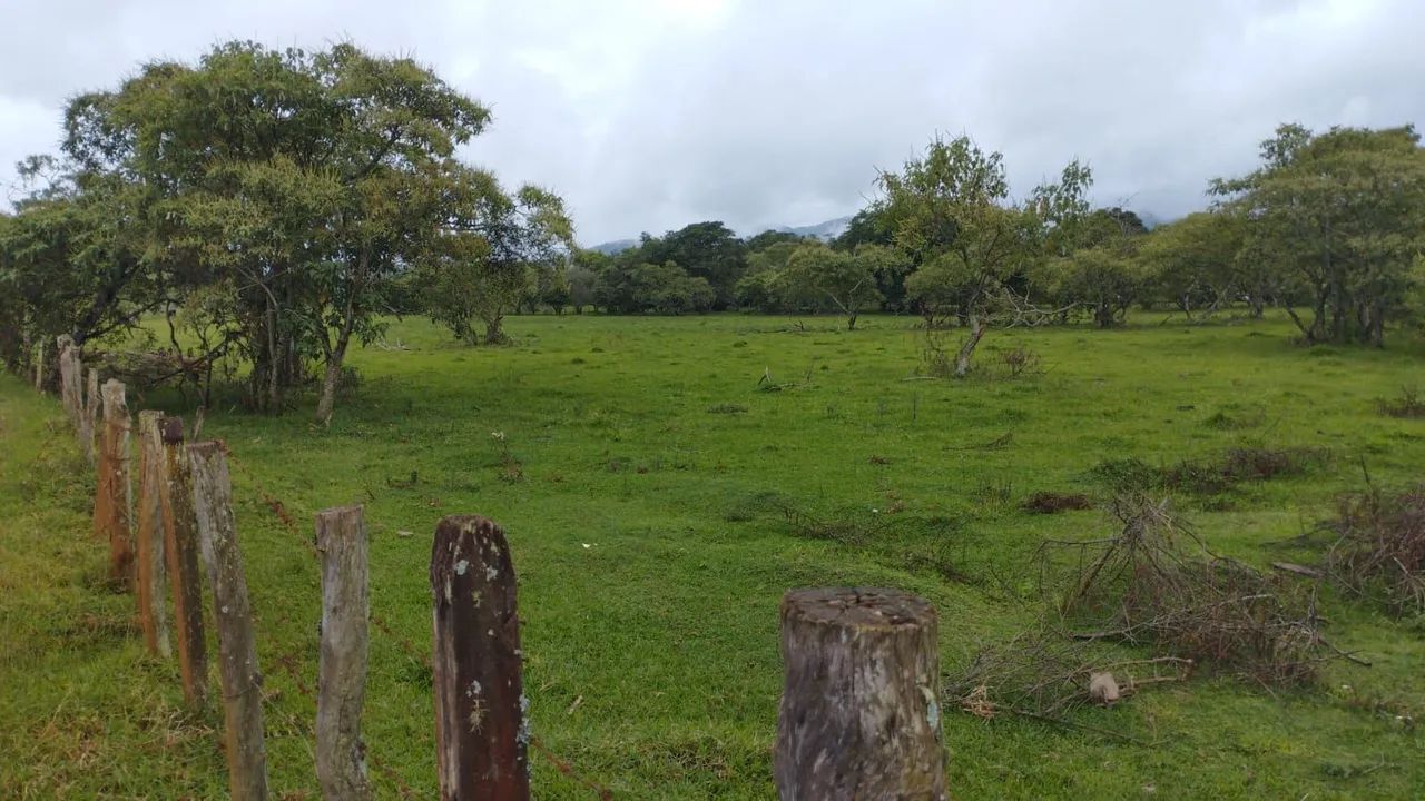 Foto - Jacareí - Parque dos Príncipes