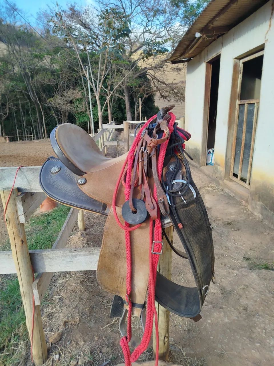 Sela neoprene e conjuntos para quem monta quarto de milha  - Foto 2