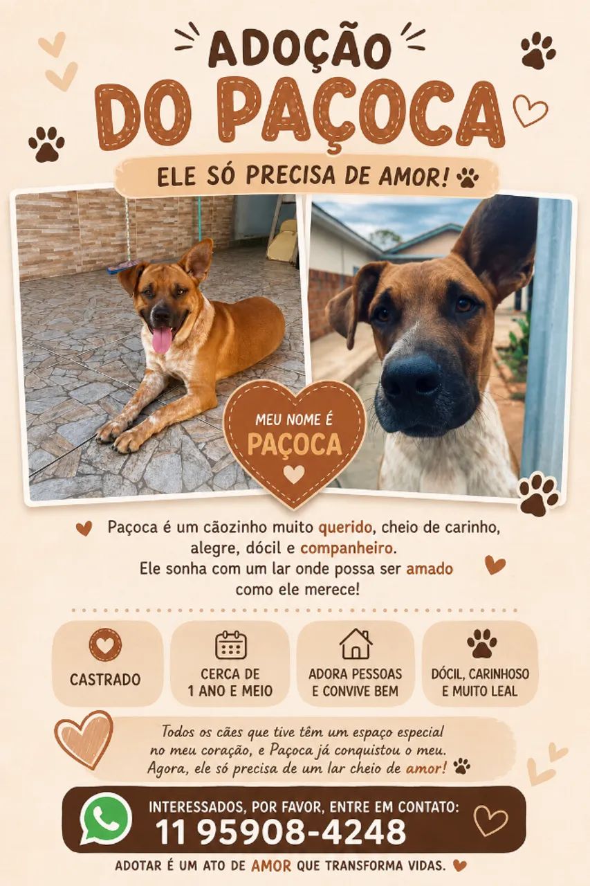 Doação responsável  - Foto 4