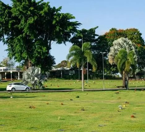 JAZIGO NO PARQUE DAS FLORES 1 - Foto 3