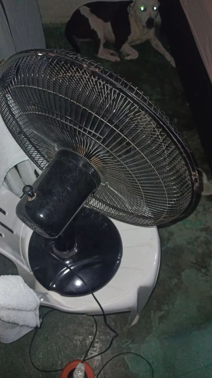 Ventilador wanke