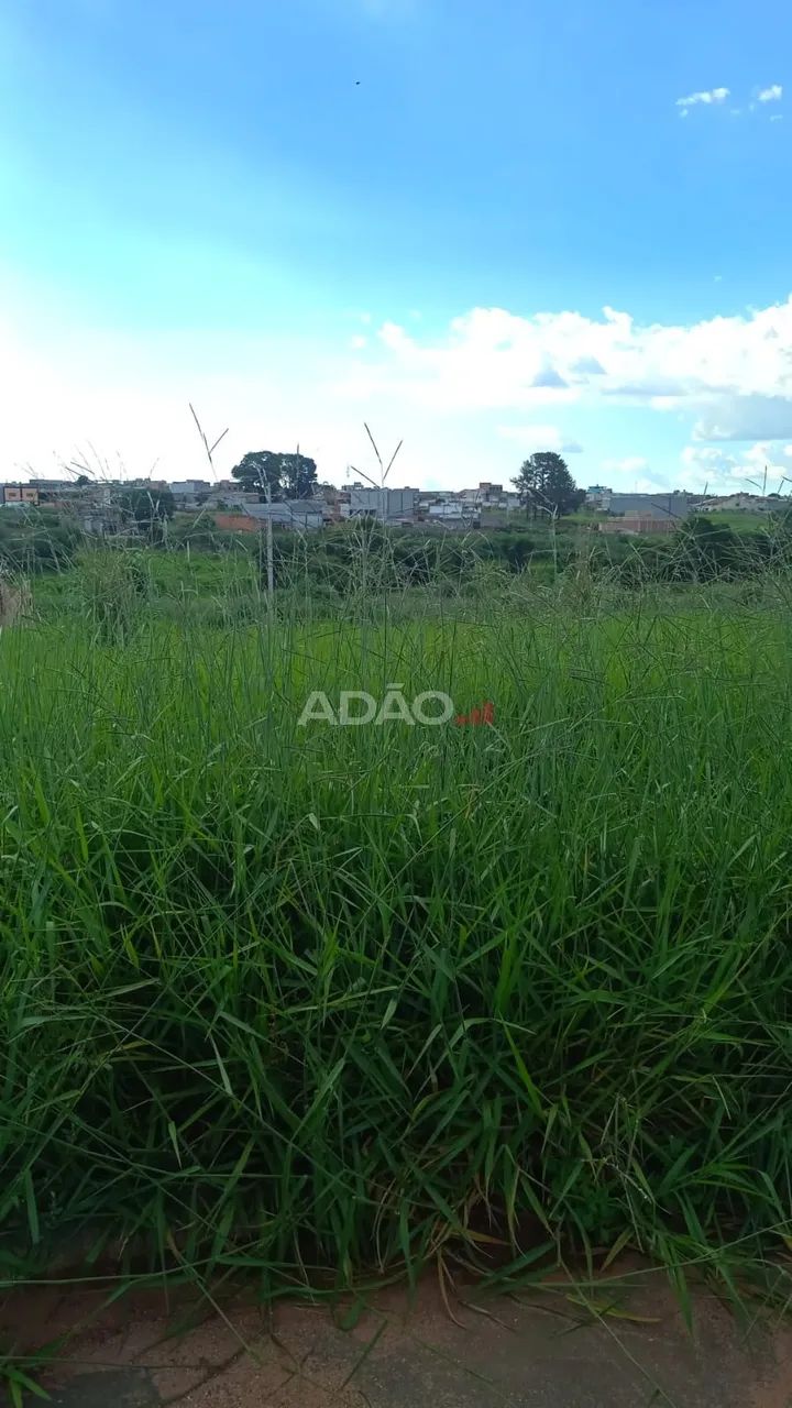 LOTEAMENTO AGROPOLE - Foto 2