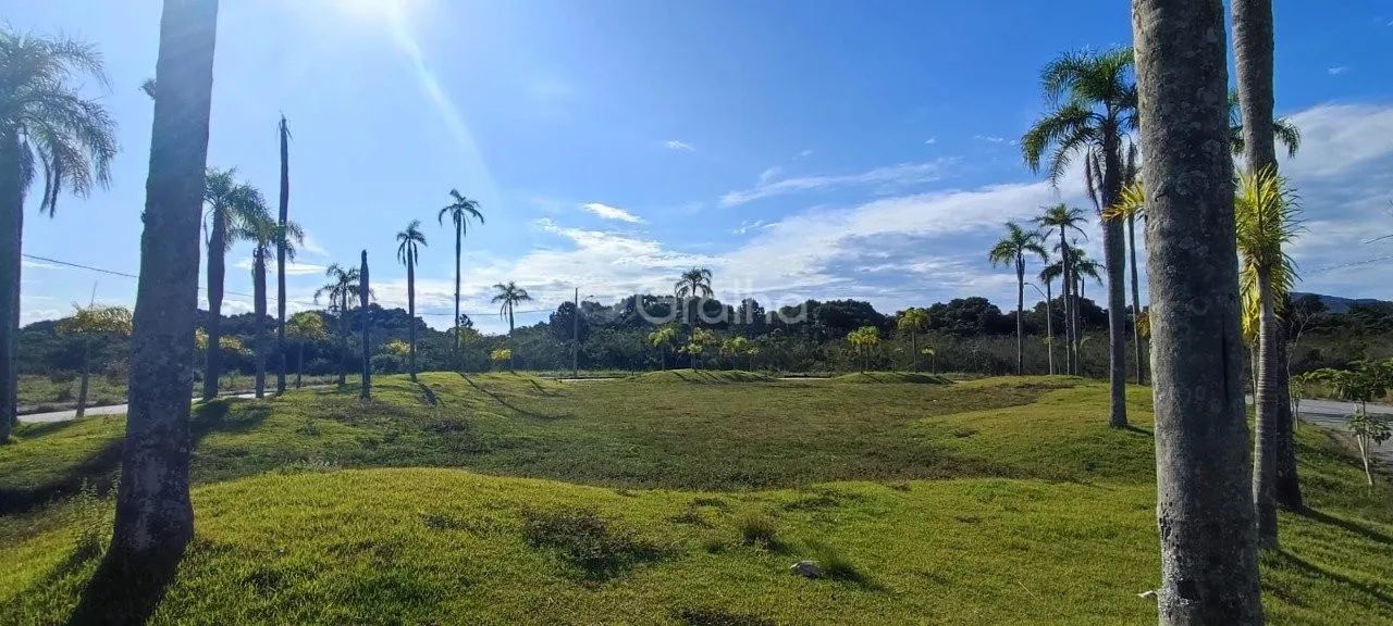 Terreno para Venda em Florianópolis, Vargem Grande - Foto 4
