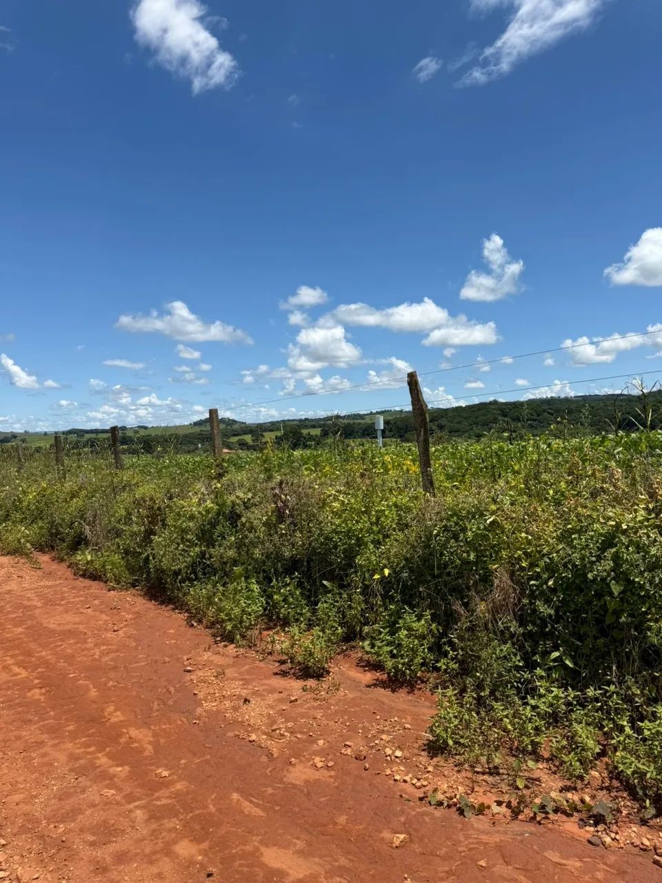 Fazenda Goianapolis - Foto 2