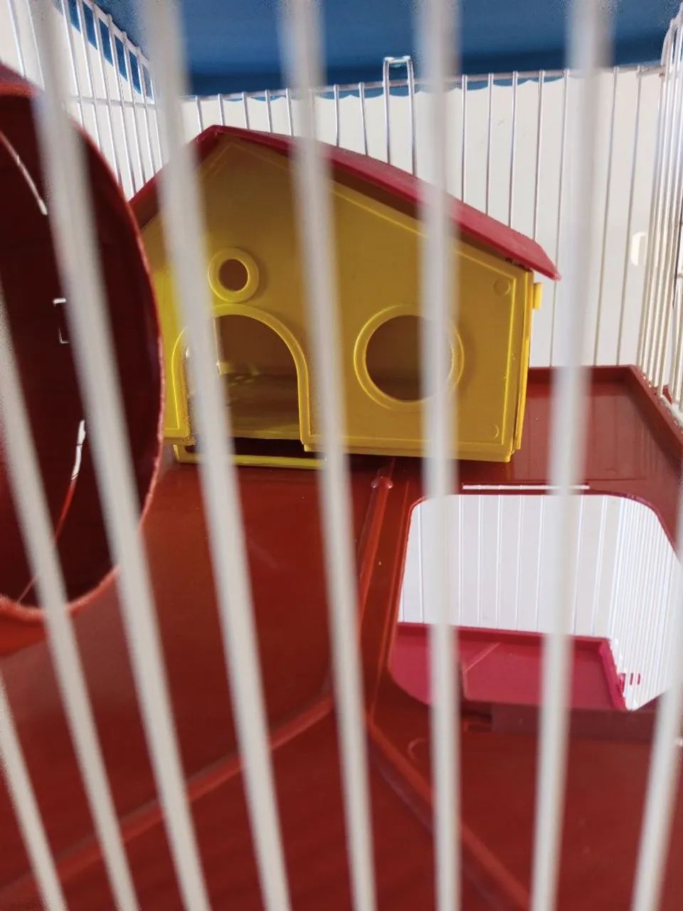 Gaiola para Ramister  - Foto 3