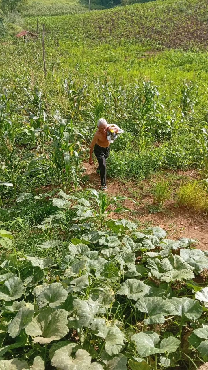 Fazenda Tropical  - Foto 2