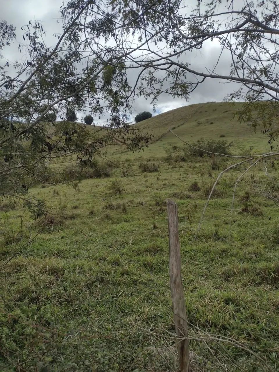 Sítio 118.500m² Chácara - MG - Foto 2