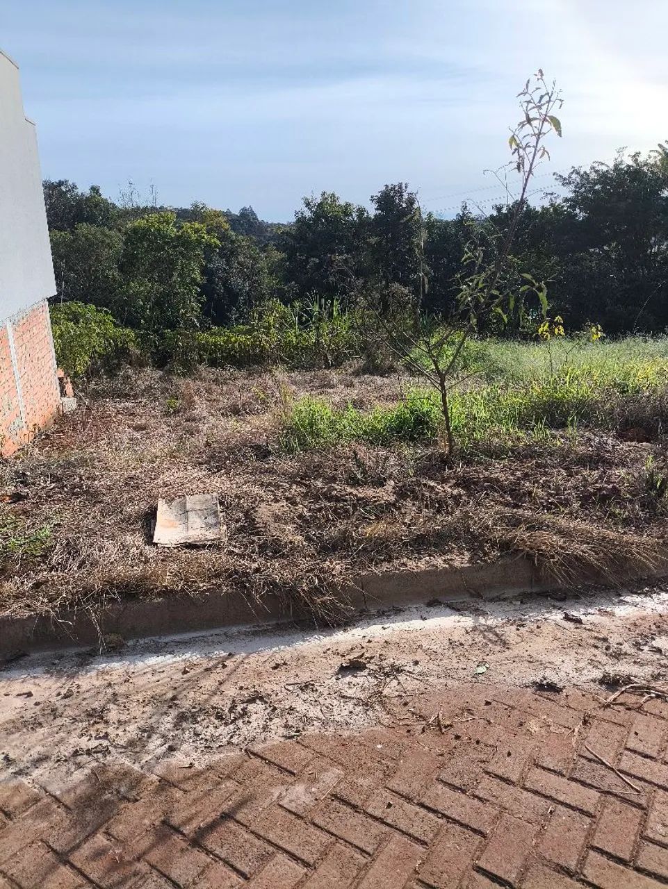 Terreno no Dharma Ville  - Foto 3