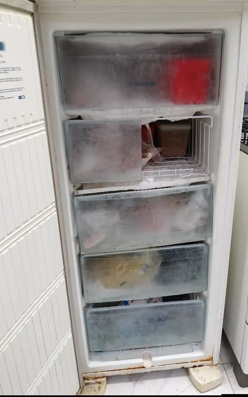? FREEZER VERTICAL ELECTROLUX FE18  - Foto 2