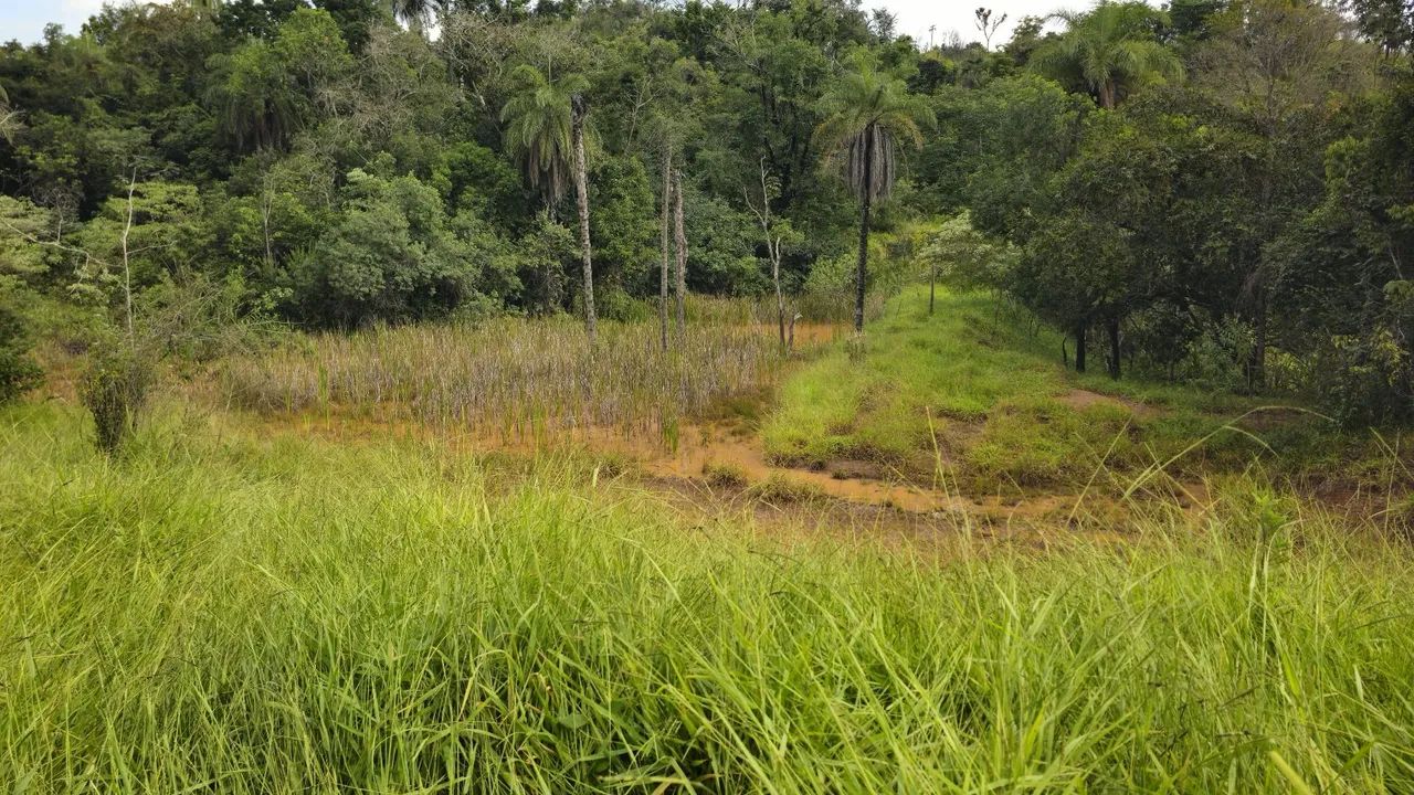 Terreno rural  - Foto 5