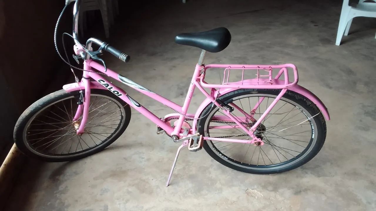 Vendo bicicleta Poty