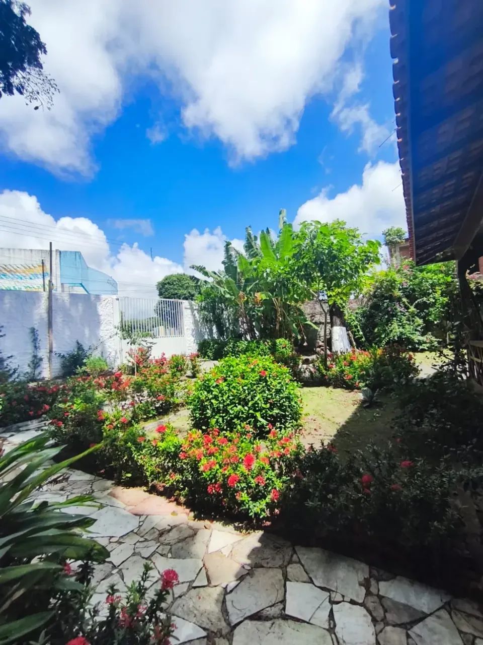 CASA TERREA SALINOPOLIS VENDA TEM 100 METROS QUADRADOS COM 3 QUARTOS  NO CENTRO - SALINAS  - Foto 3