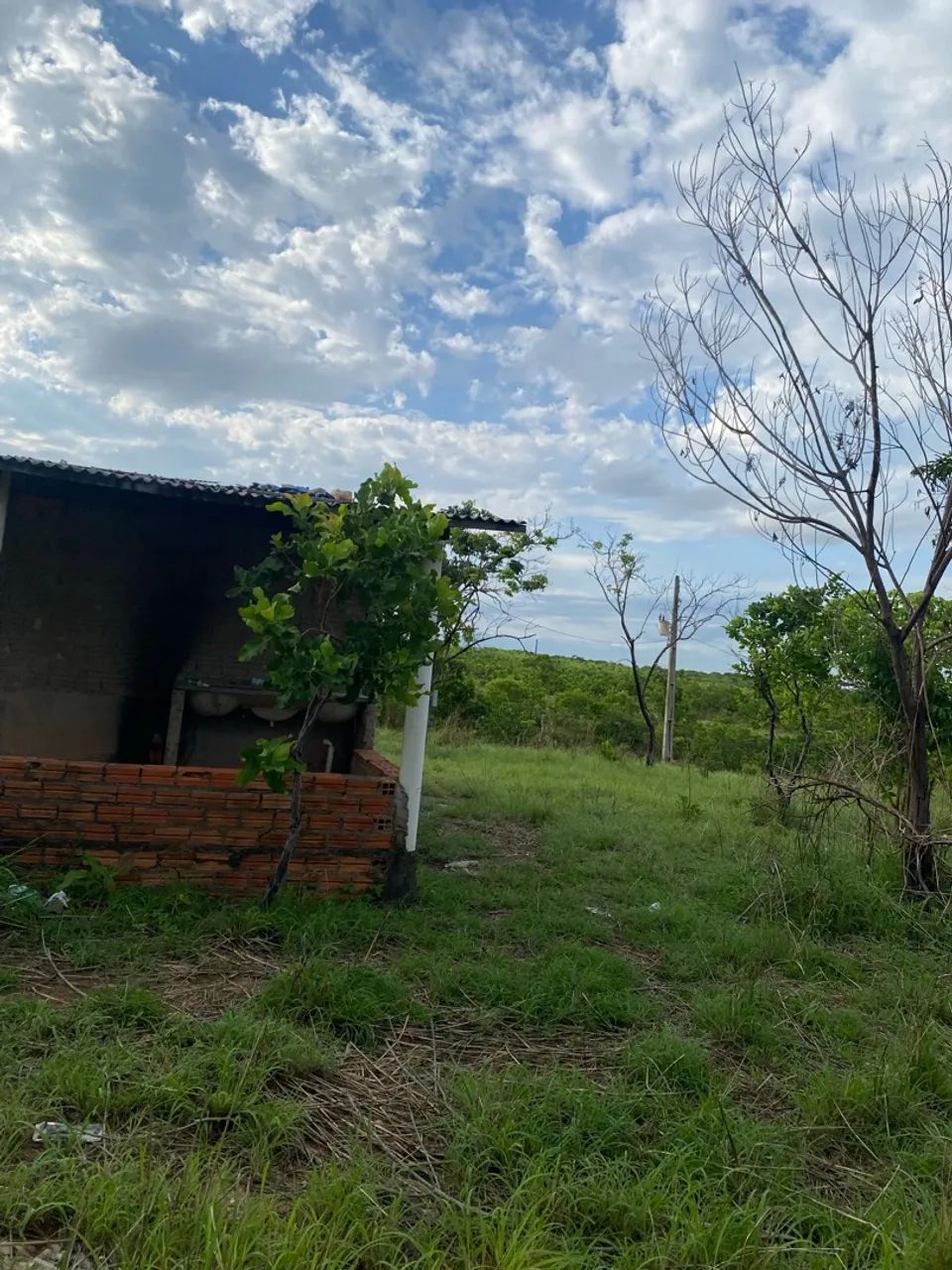 120 - Foto 3