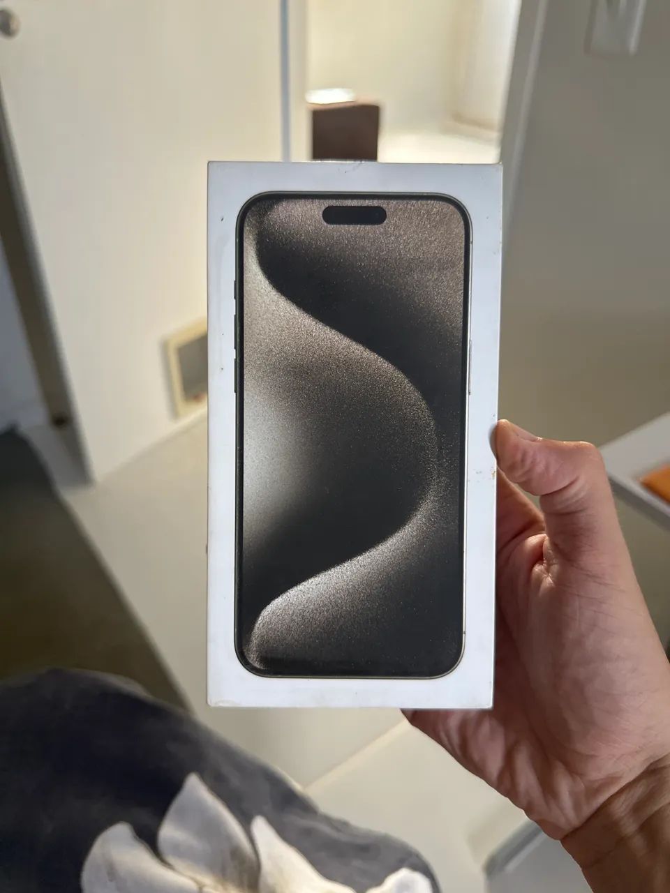 Iphone 15 pro Max - Celulares e Smartphones - Alvorada, Macapá