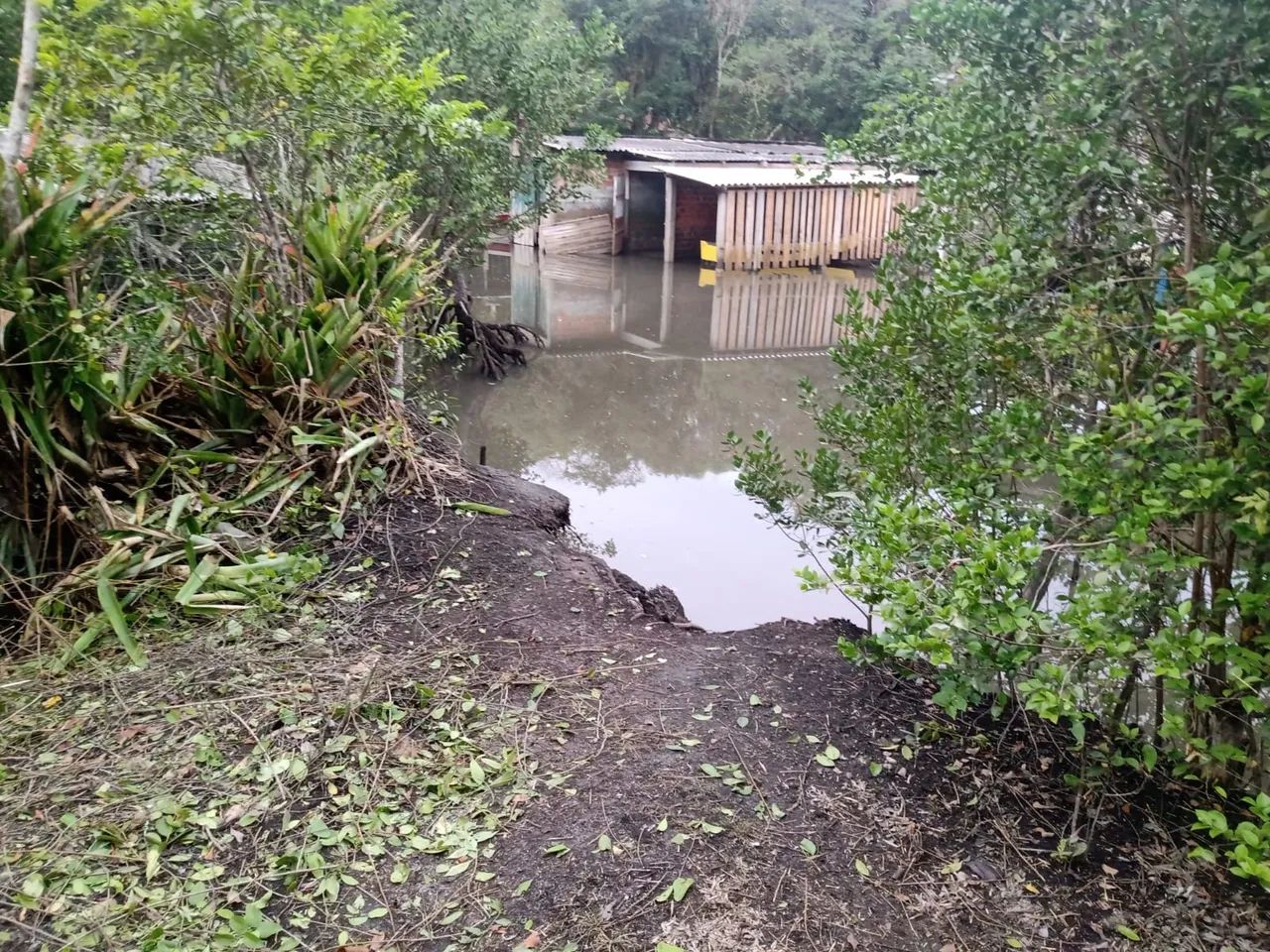 Vendo chácara em Alexandra - Foto 5