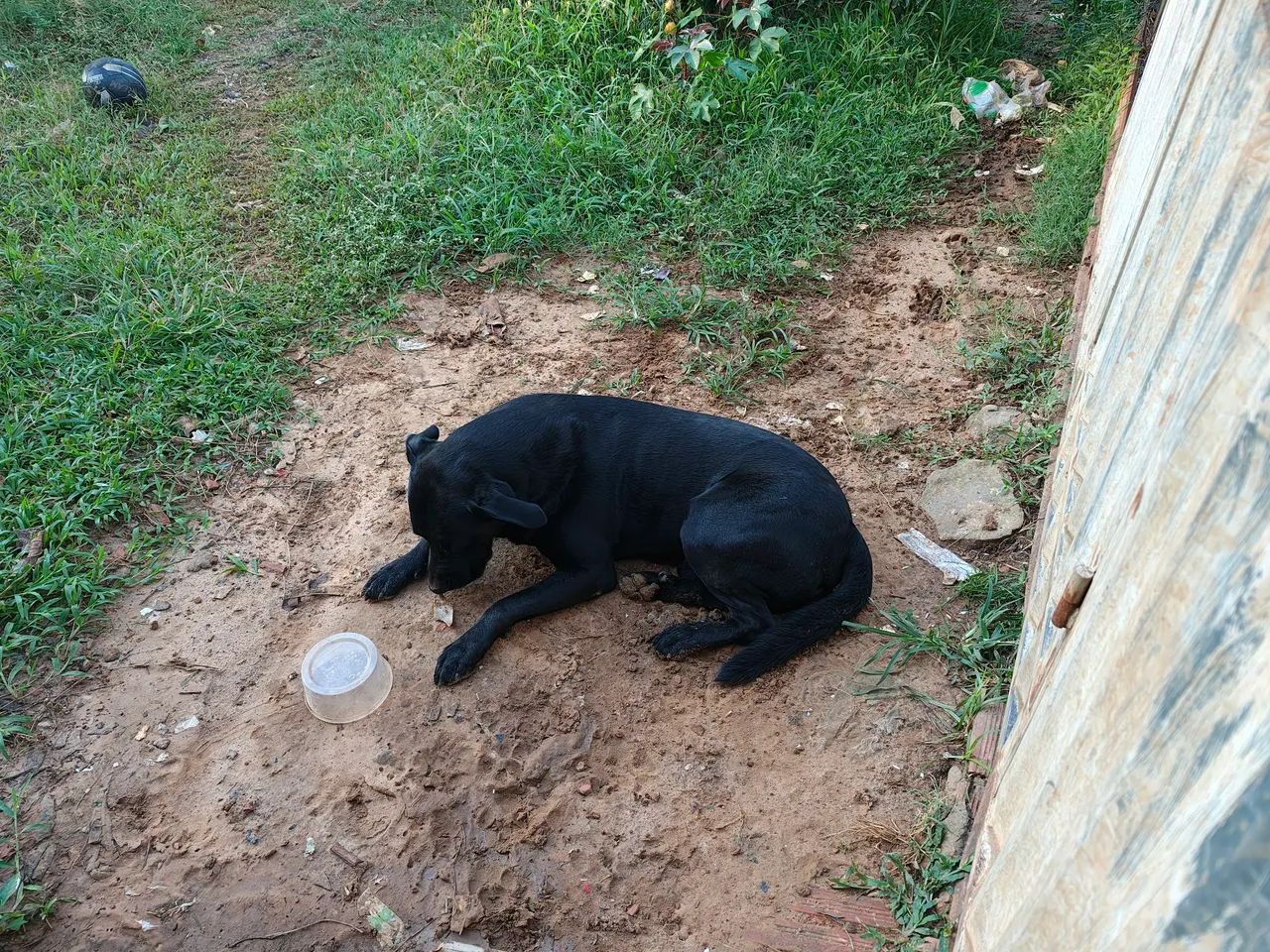 Pretão procura namorada  - Foto 2