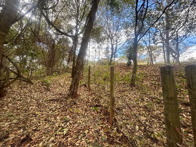 Oportunidade única  - Foto 3