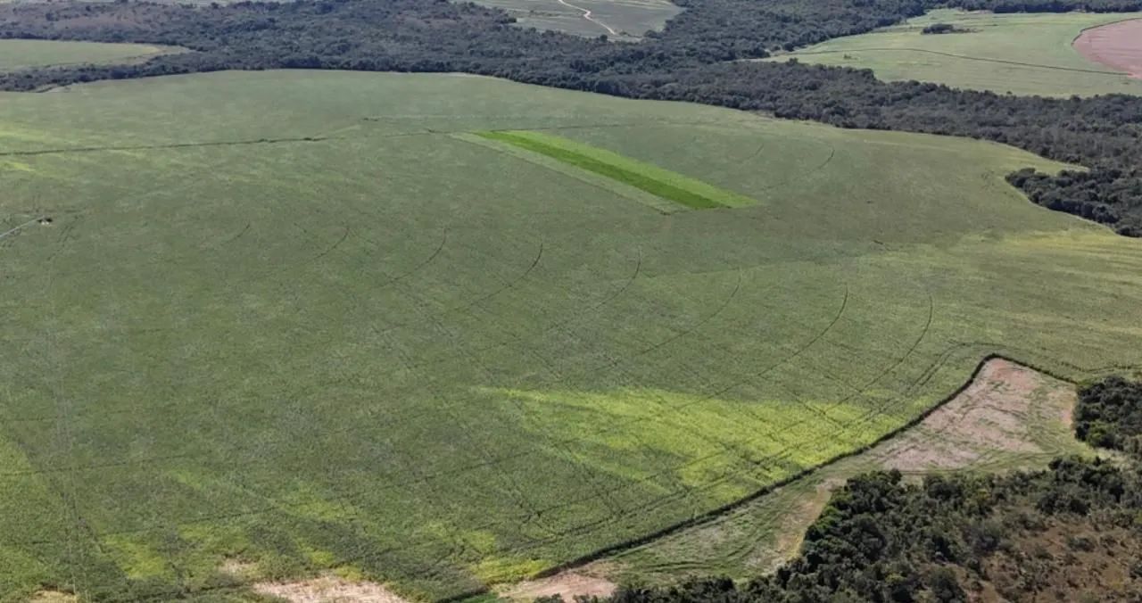 Propriedade rural à venda em Ipameri, Goiás - Foto 5