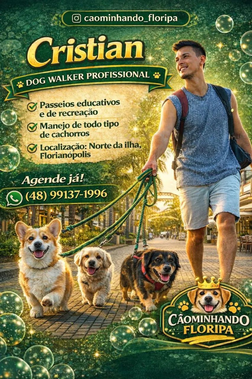 SERVIÇO DE DOG WALKERS & PET SITTER  - Foto 3