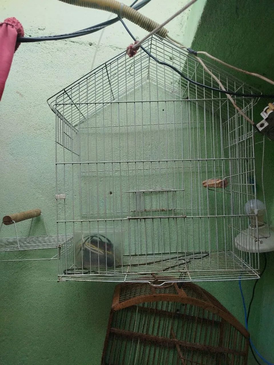 Gaiola pra calopsita em perfeito estado pra sair hj 