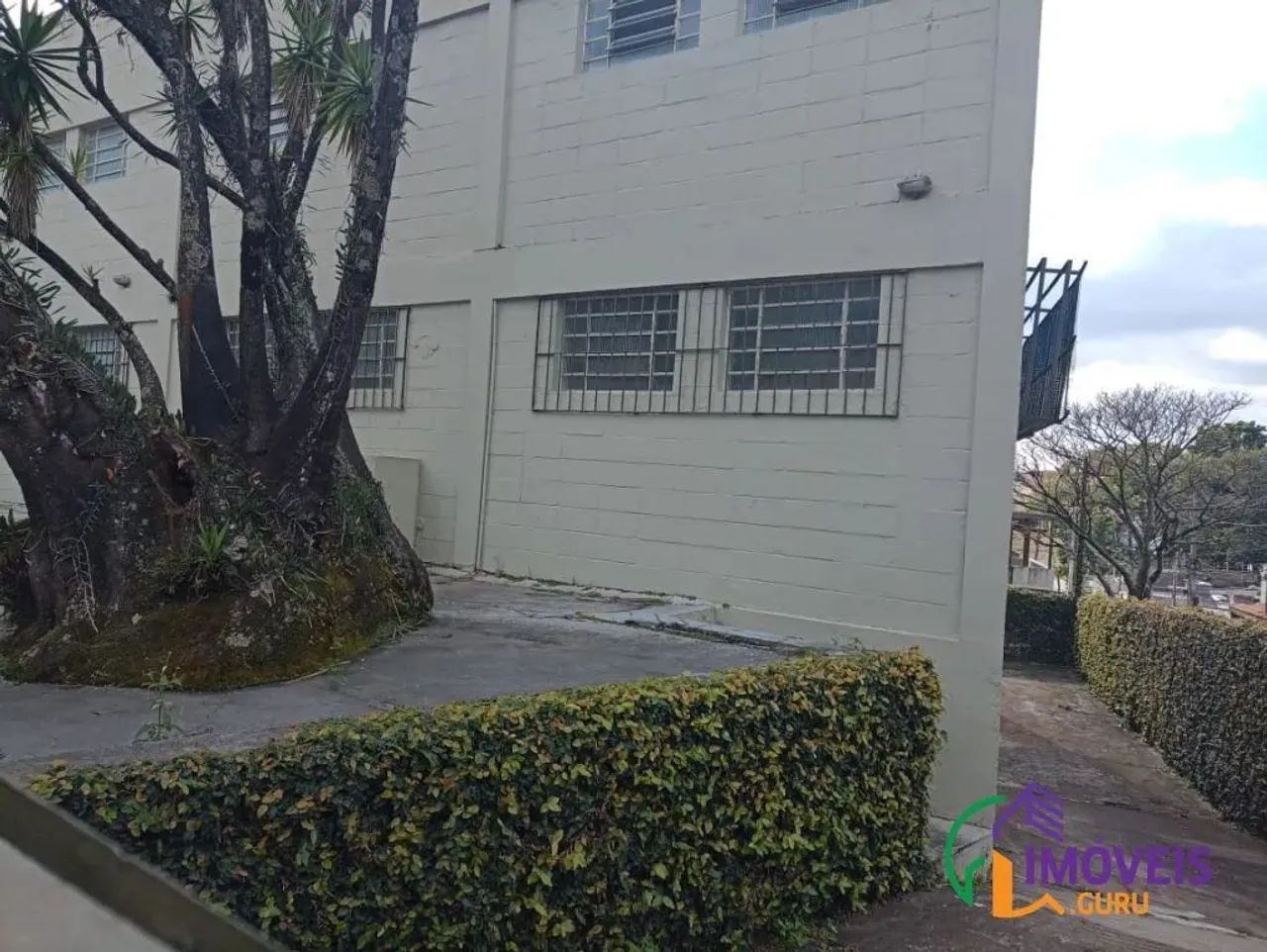 GALPÃO - CIDADE ADEMAR - SP - Foto 6