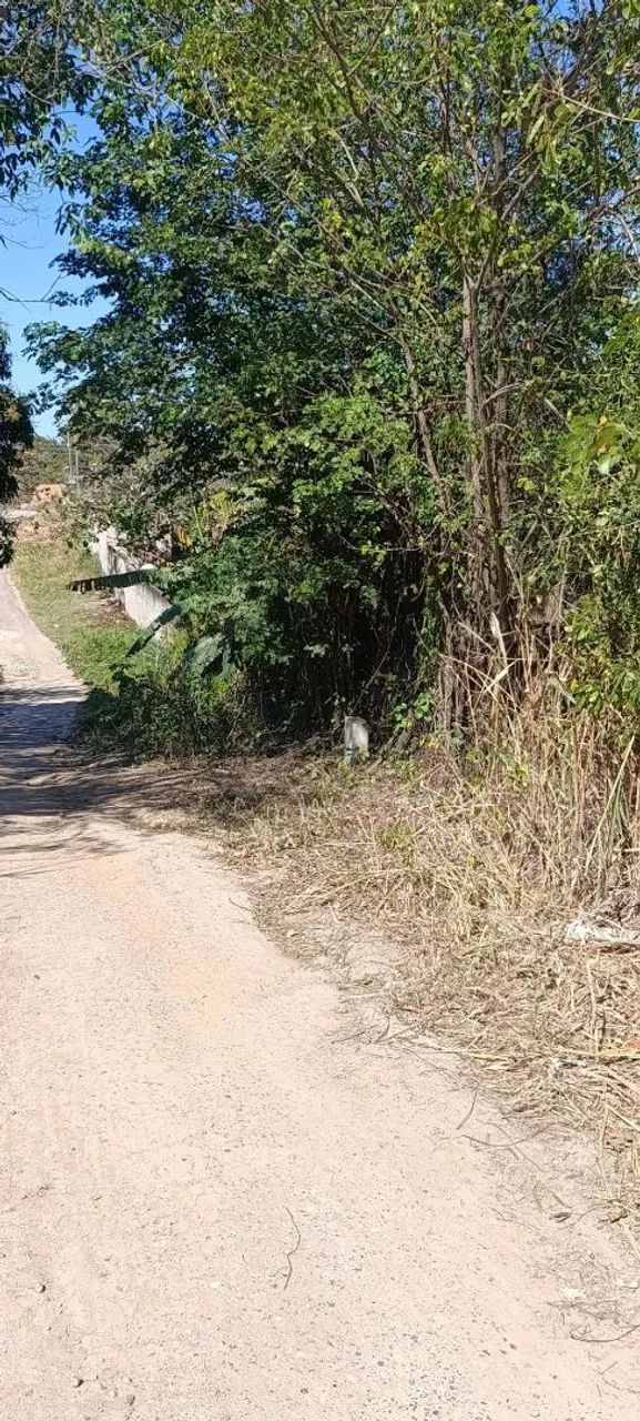 Vendo terreno com escritura IPTU e Luz - Foto 4