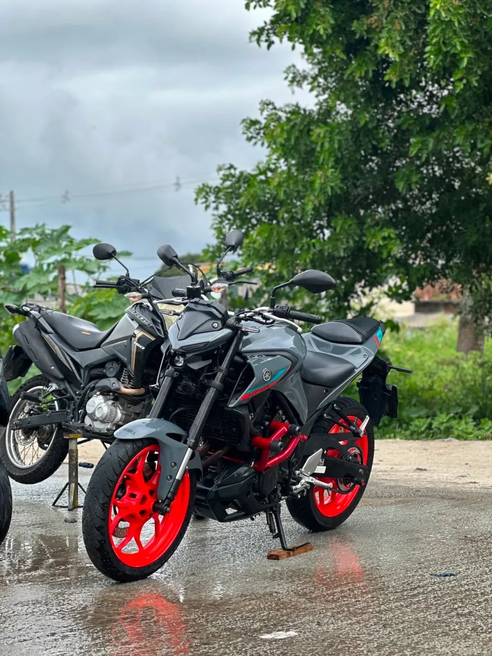 Mt 03 