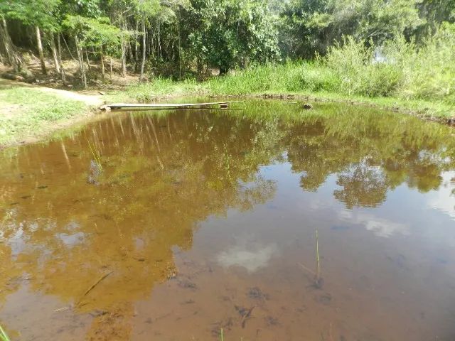  MARAU Ba VENDE-SE 85 MIL m² - Foto 3