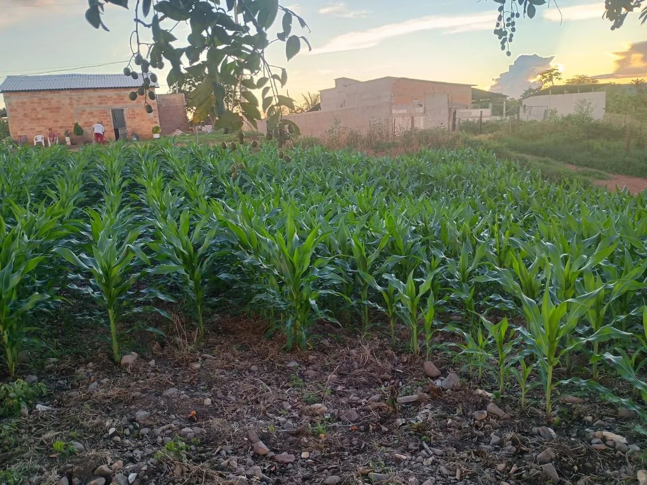 VENDE-SE LOTE - Foto 2