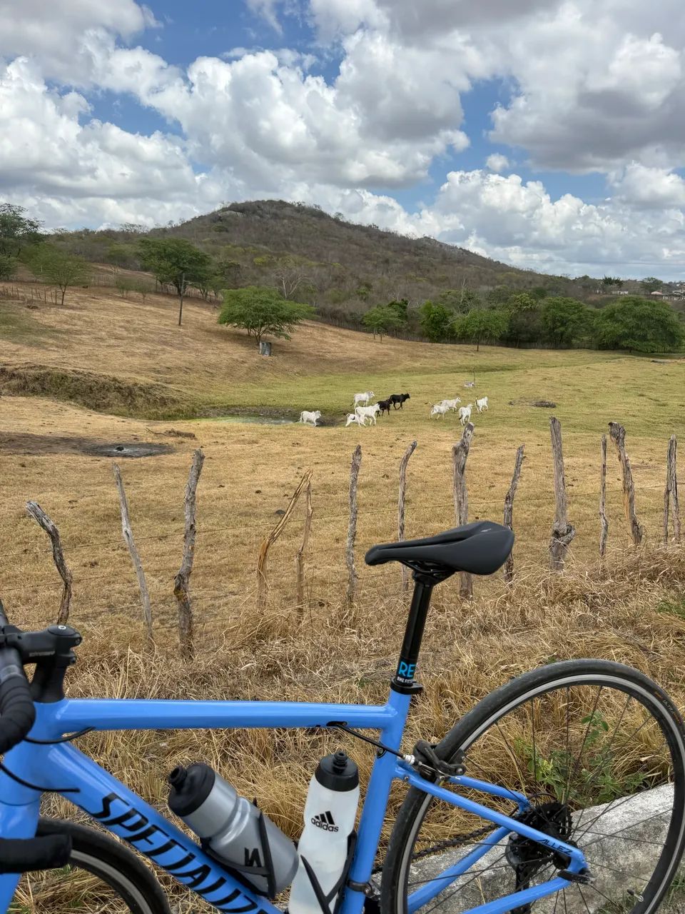 specialized allez tamanho 49 - Foto 3