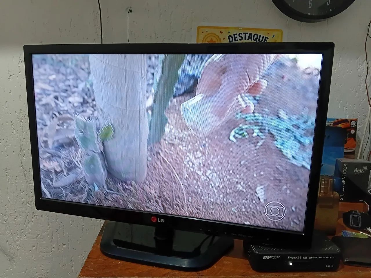 Tvs - Foto 5