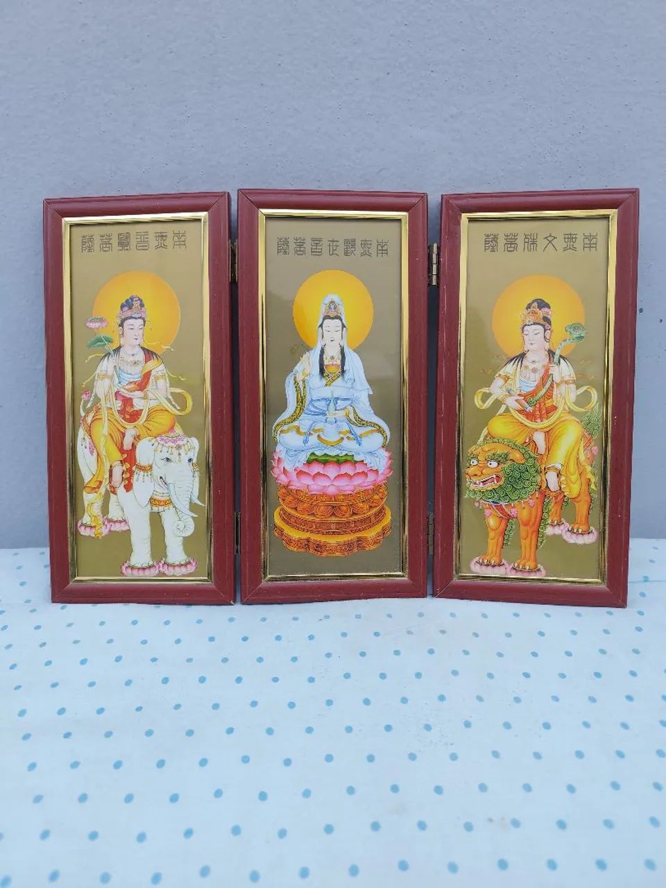 Buda Display/ Placa