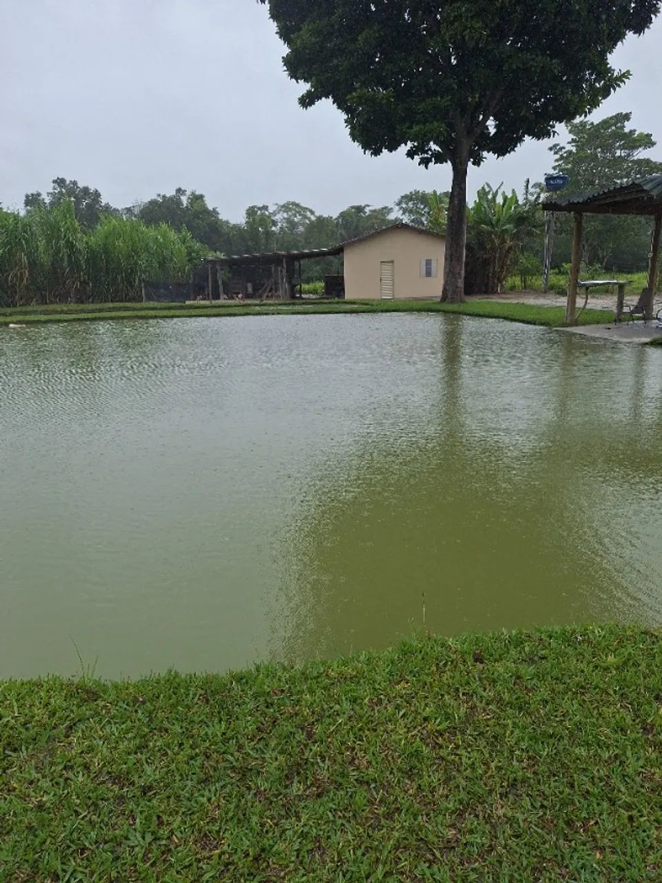 Chácara 1 Alqueire em Itapuranga - Foto 12