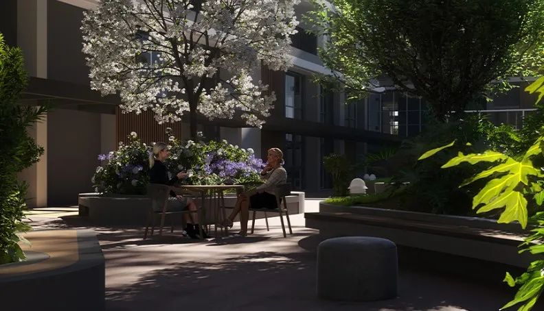 PIEMONTE ALBERI - Foto 2