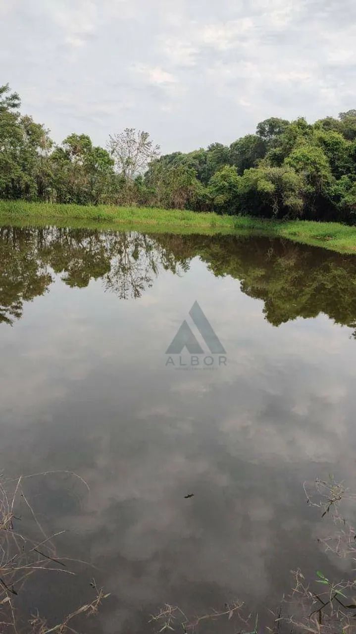 Chácara com 5 quartos à venda - Guarei - Guareí/SP - Foto 4
