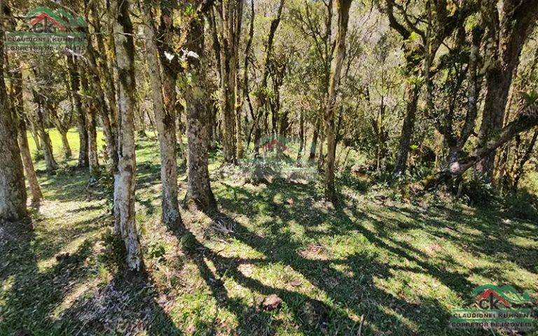 Terreno rural lago, rio e pastagem em Rancho Queimado - Foto 4