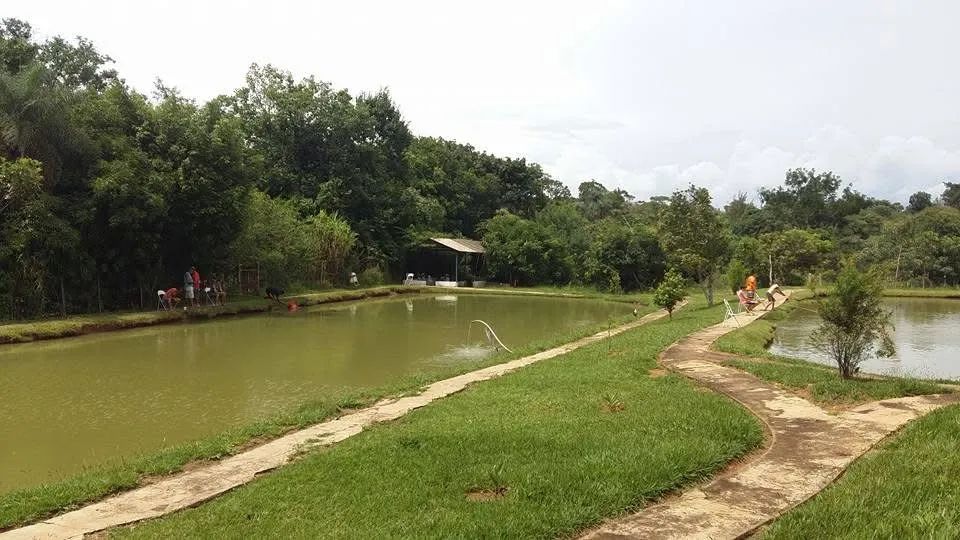 Chácara em Novo Gama estrutura  - Foto 5