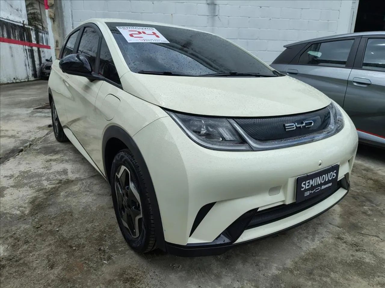 BYD Dolphin EV (Elétrico) 2024 - Foto 3