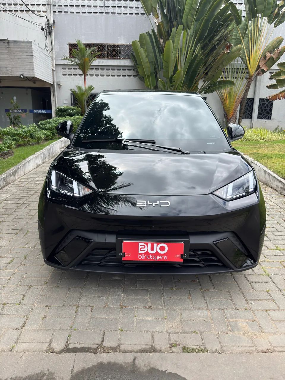 BYD Dolphin Mini (Elétrico) 2027 - Foto 3
