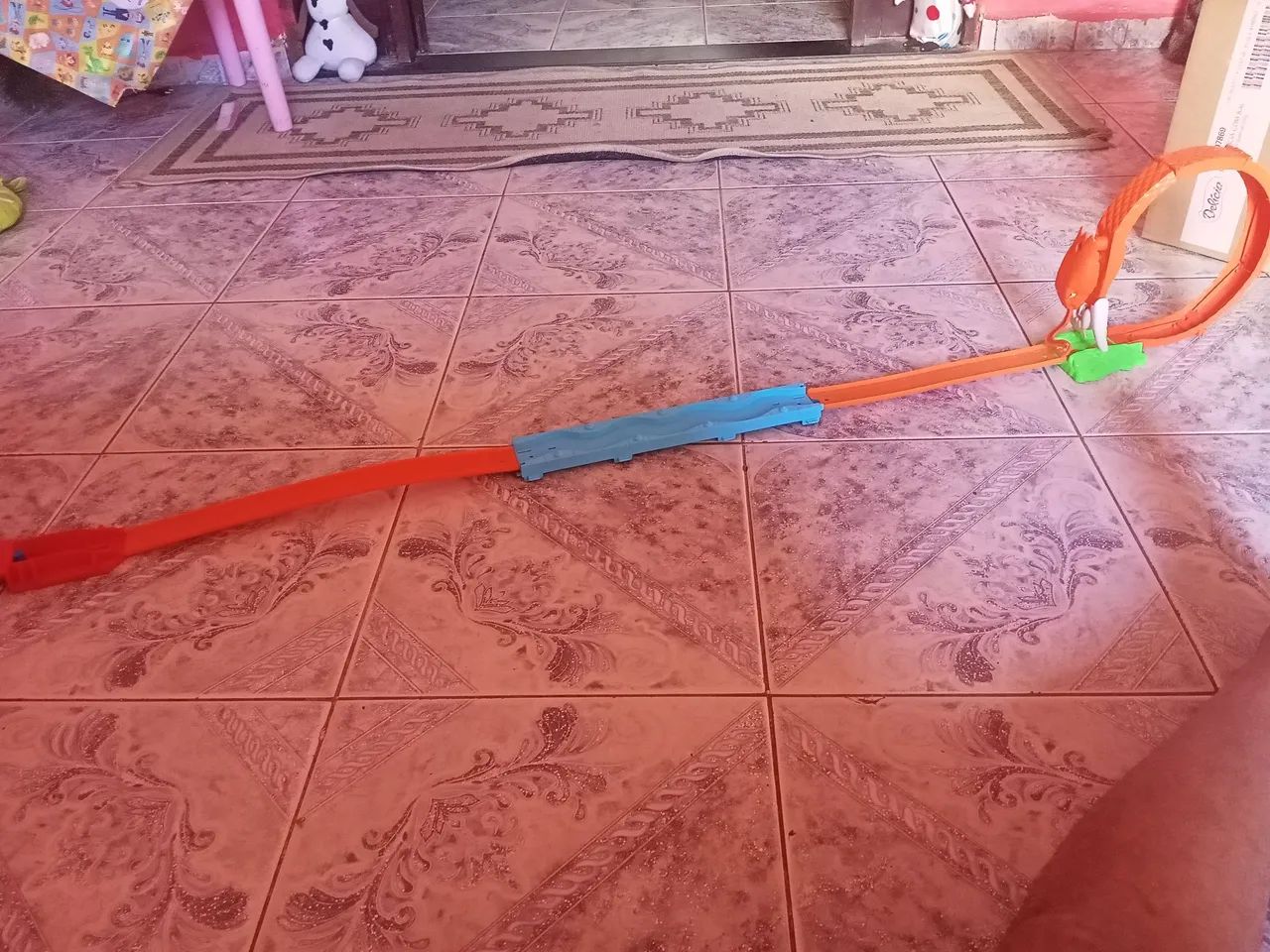 Posta da cobra - Foto 2
