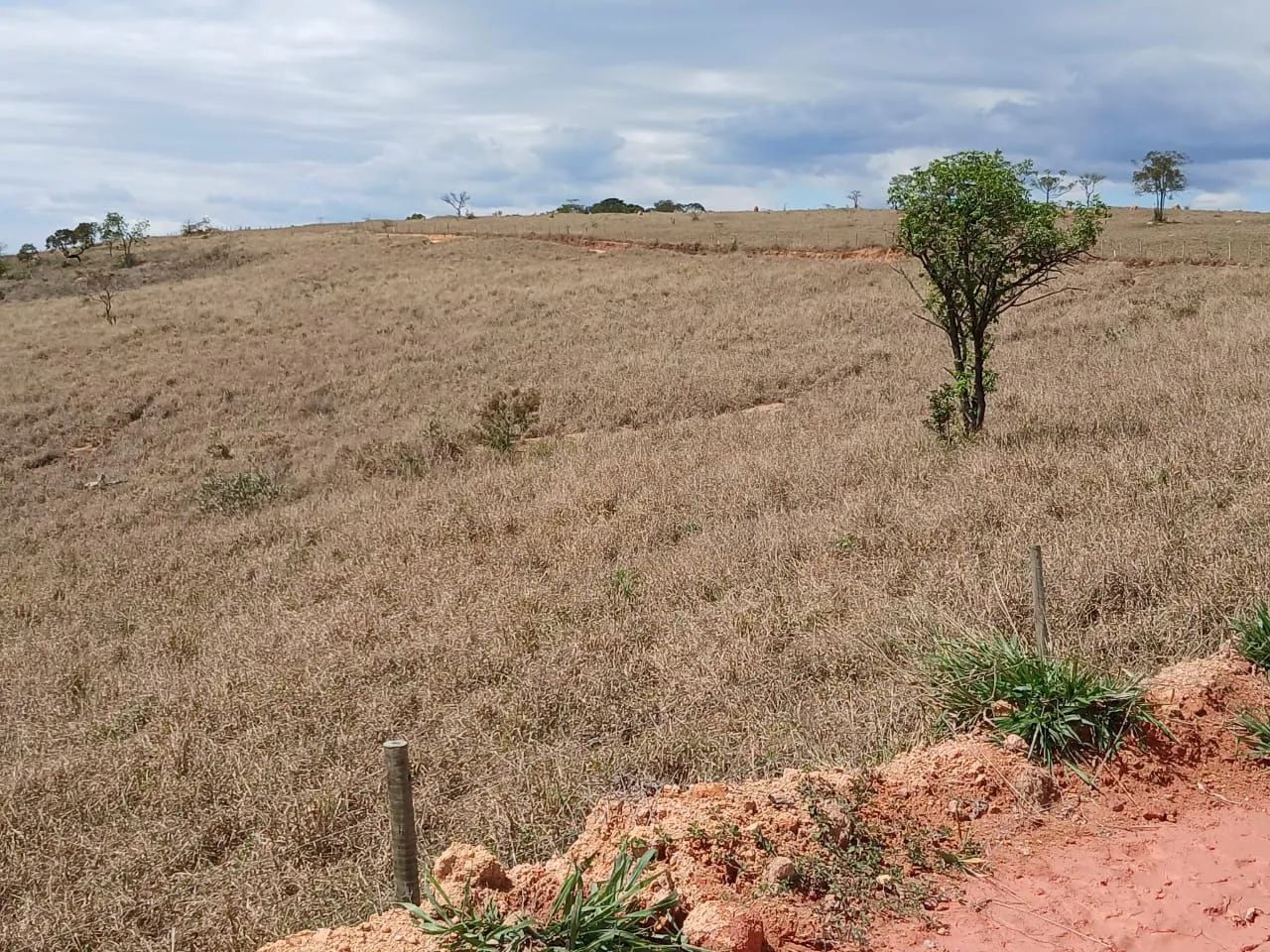 Lotes de 1.000 metros. - Foto 2